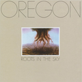 Roots In The Sky Vinyl Record