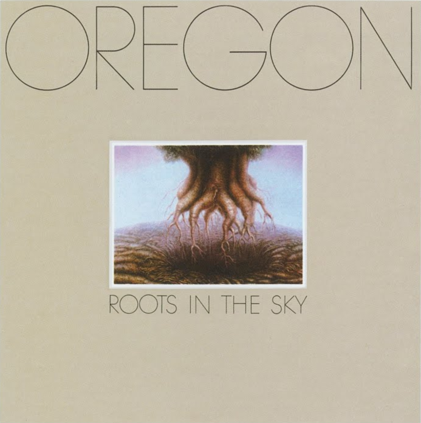 Roots In The Sky Vinyl Record