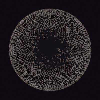 Organ Eye Music CD
