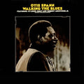 Walking The Blues Vinyl Record