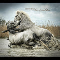 Love & Revelation Music CD