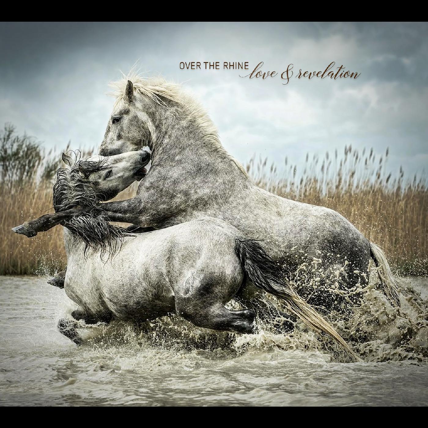 Love & Revelation Music CD