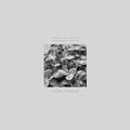 Pablo Bolivar & Alexandra Savvidi - Other Stories [LP] Vinyl Record