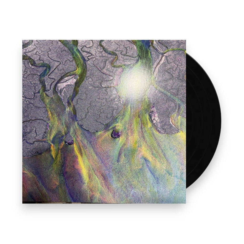 Alt-J – Awesome Wave (LP Vinyl) Vinyl Record
