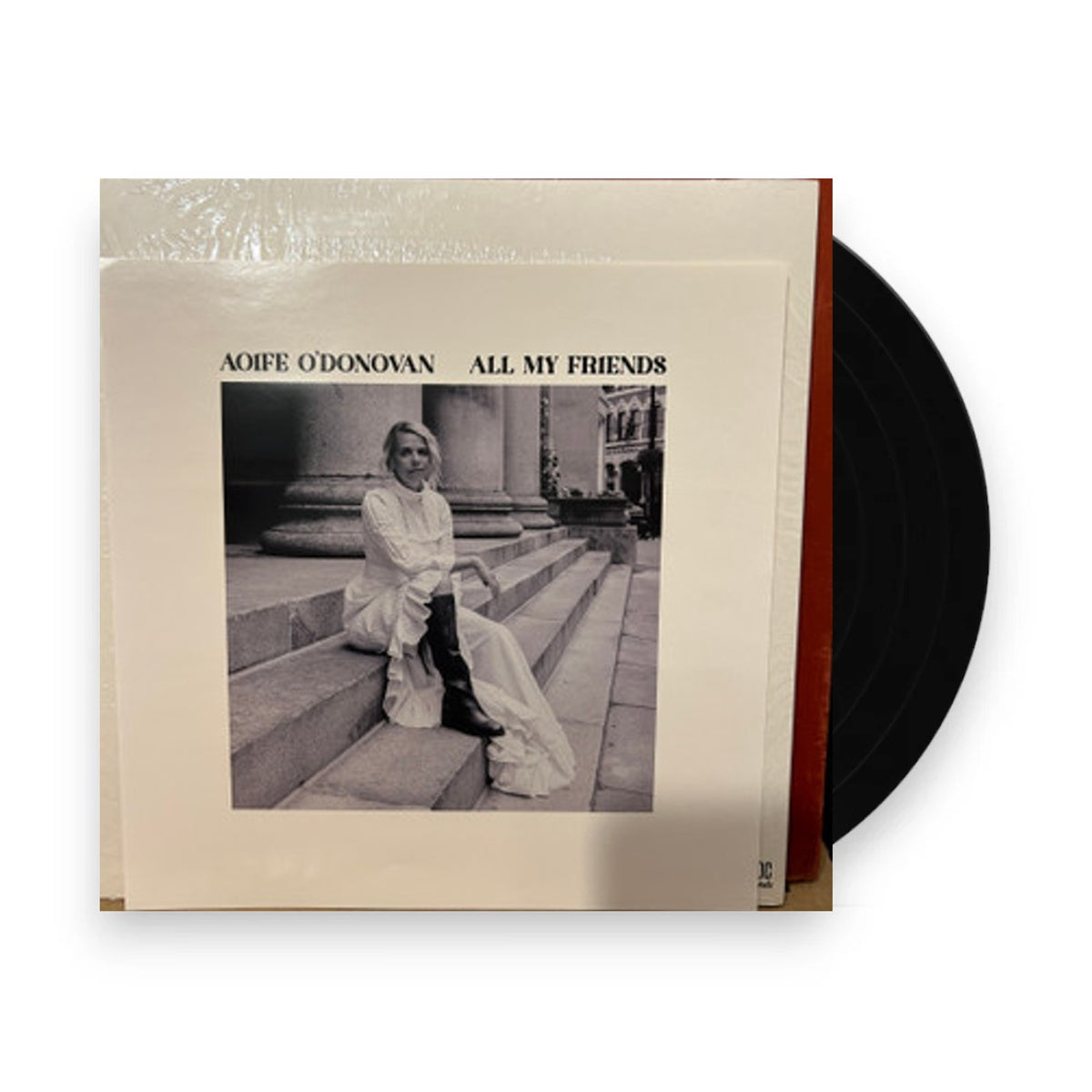 Aoife O'Donovan – All My Friends (LP Vinyl) Vinyl Record