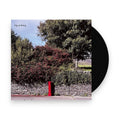 Big Nothing – Big Nothing (LP Vinyl) Vinyl Record