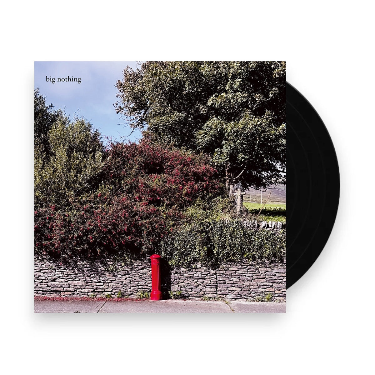 Big Nothing – Big Nothing (LP Vinyl) Vinyl Record