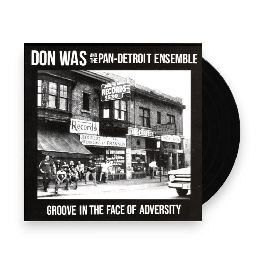 Don Was – Groove In The Face Of Adversity (LP Vinyl) Vinyl Record