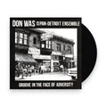 Don Was – Groove In The Face Of Adversity (LP Vinyl) Vinyl Record