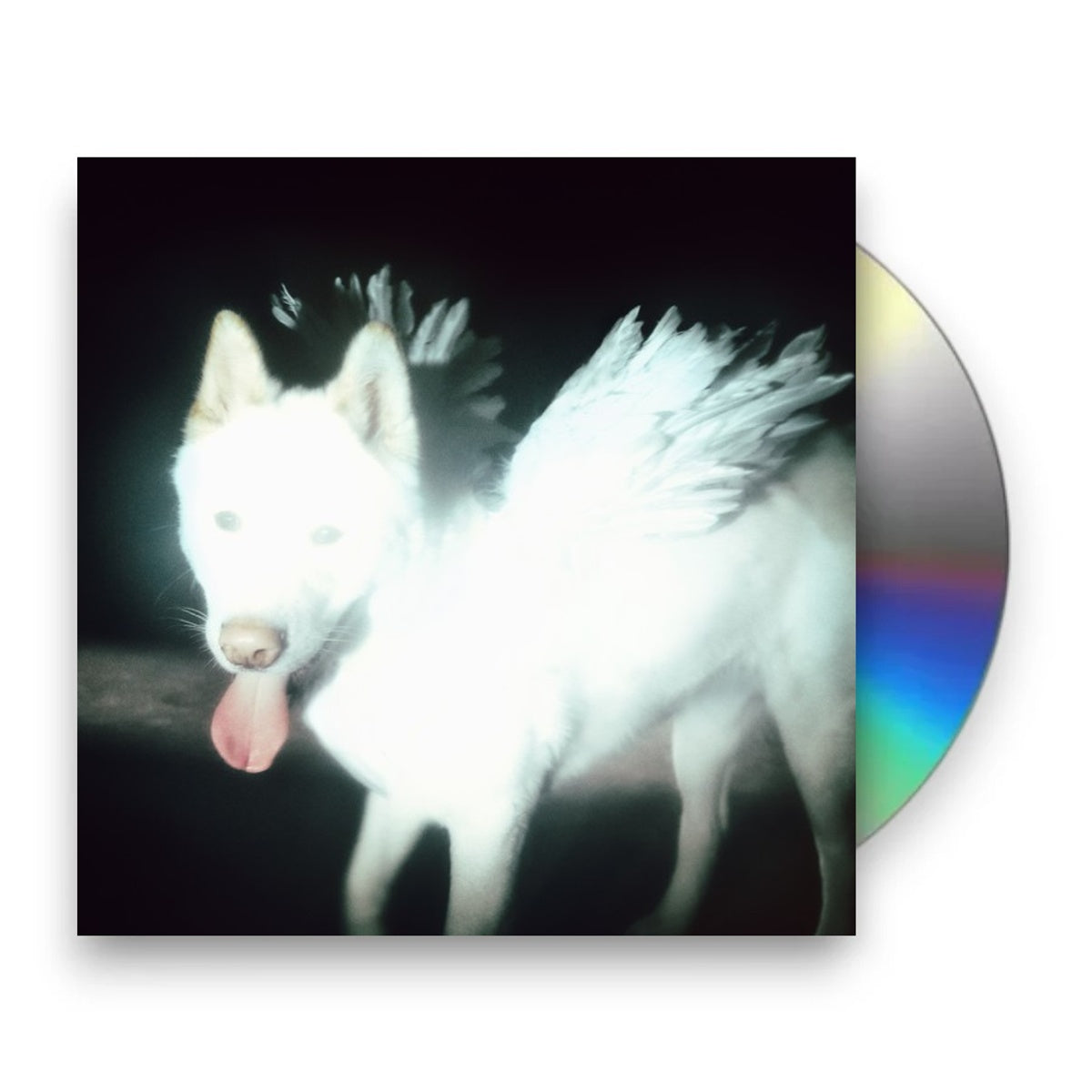 Fat Dog – Cancel Me (I'm Tired) Music CD