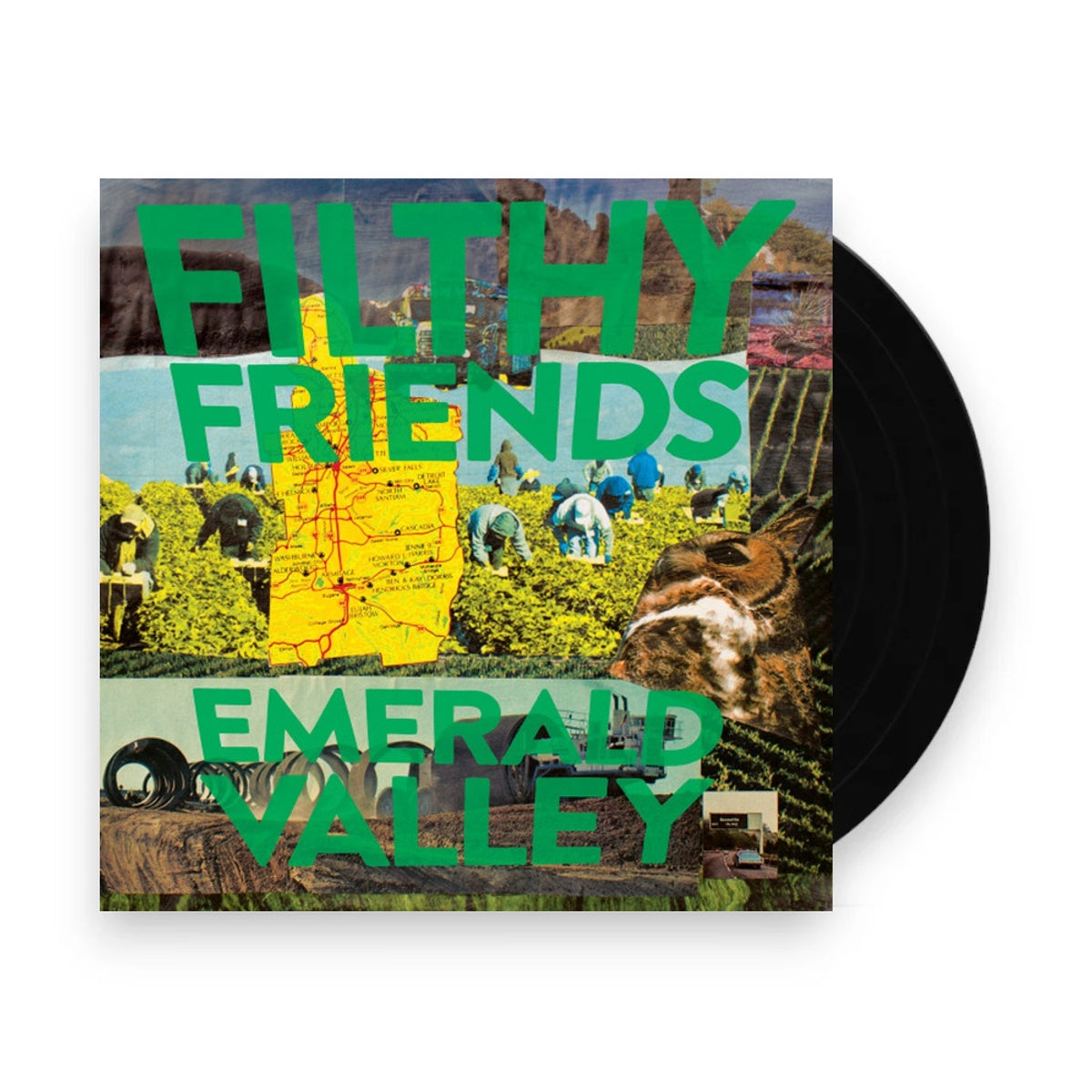 Filthy Friends – Emerald Valley (LP Vinyl) Vinyl Record