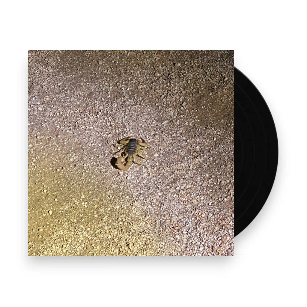 Frances Chang – Been Thinking Bout Confession (Purple LP Vinyl) Vinyl Record