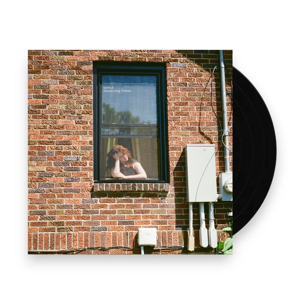 Gayle – Observing Chaos (LP Vinyl) Vinyl Record