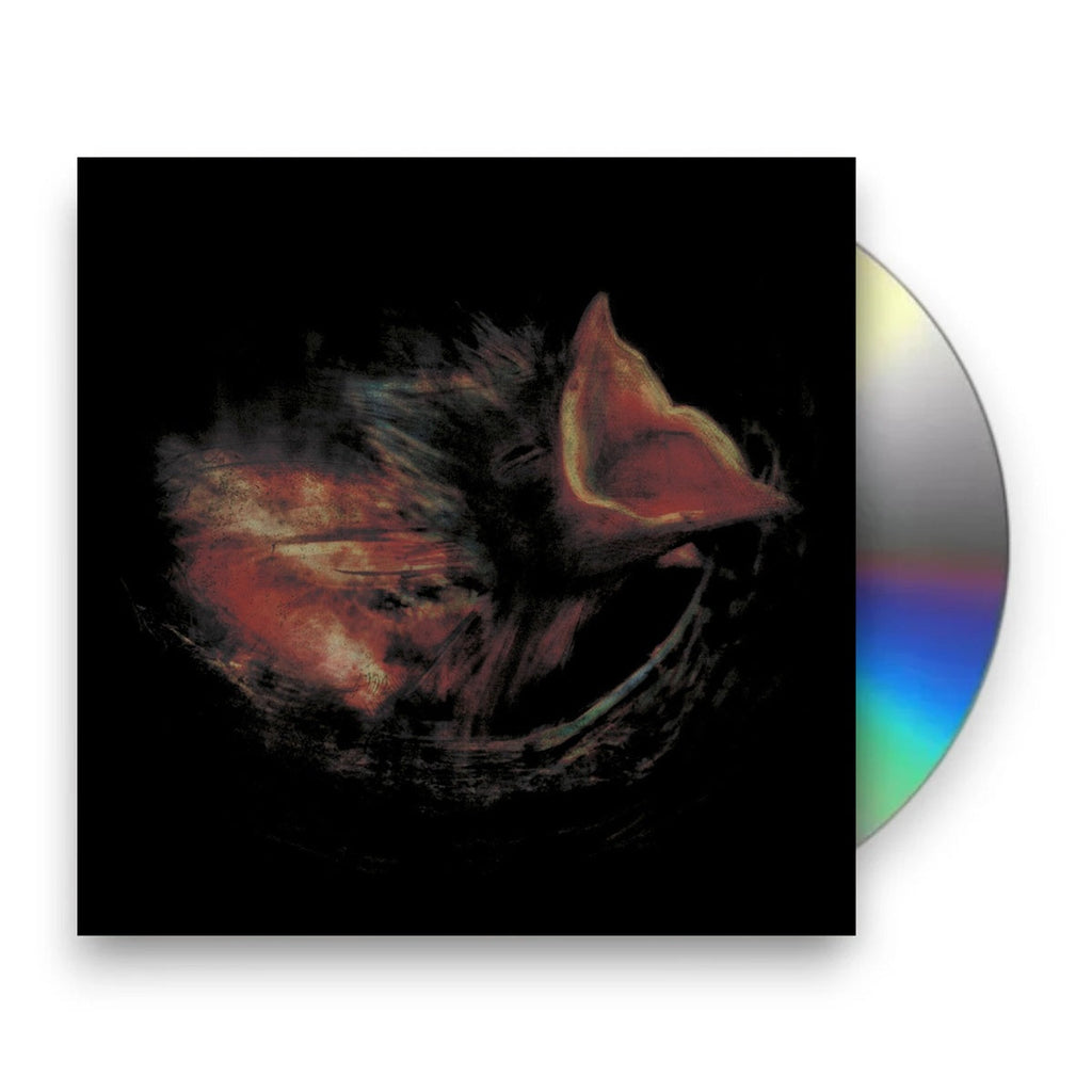 Gurriers – Nobody's Coming To Save You Music CD