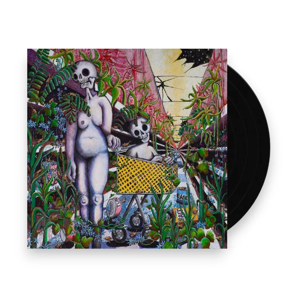 Indigo De Souza – Any Shape You Take (LP Vinyl) Vinyl Record