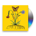 John Glacier – Like A Ribbon Music CD