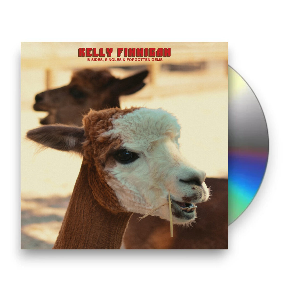 Kelly Finnigan – B-Sides Singles & Forgotten Gems Music CD