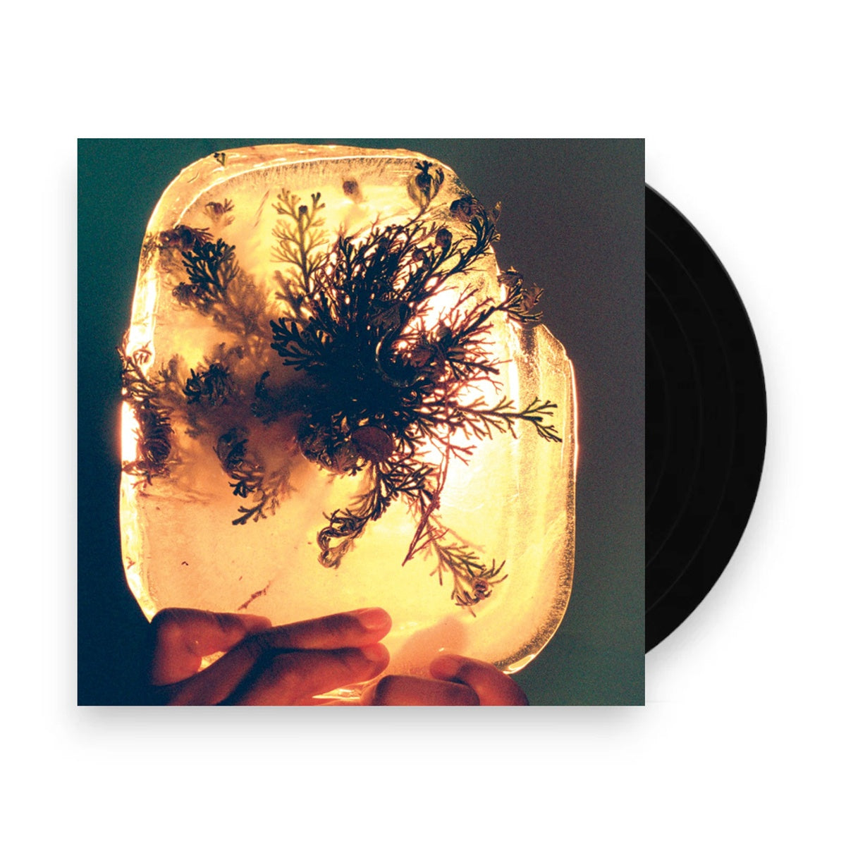 L'Rain – Fata Morgana (LP Vinyl) Vinyl Record