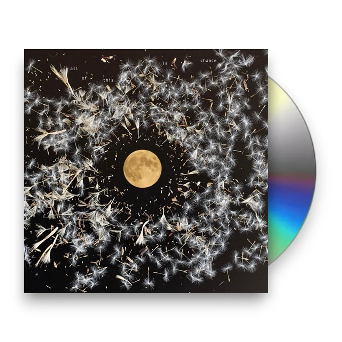 Lisa O'Neill – All Of This Is Chance Music CD
