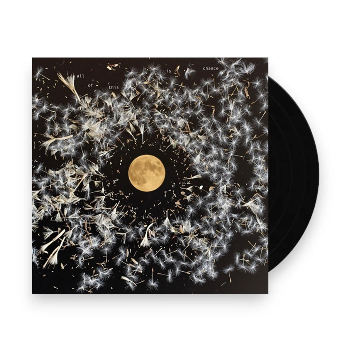 Lisa O'Neill – All Of This Is Chance (LP Silver Vinyl) Vinyl Record