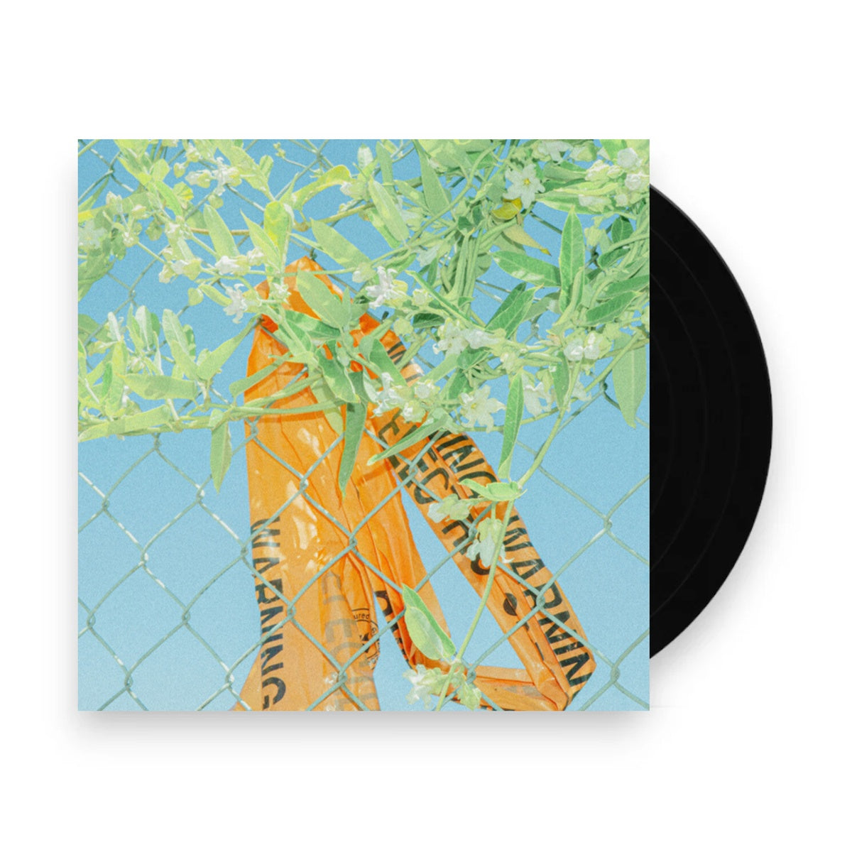 Lockstep – I Know What I Saw (Colored LP Vinyl) Vinyl Record