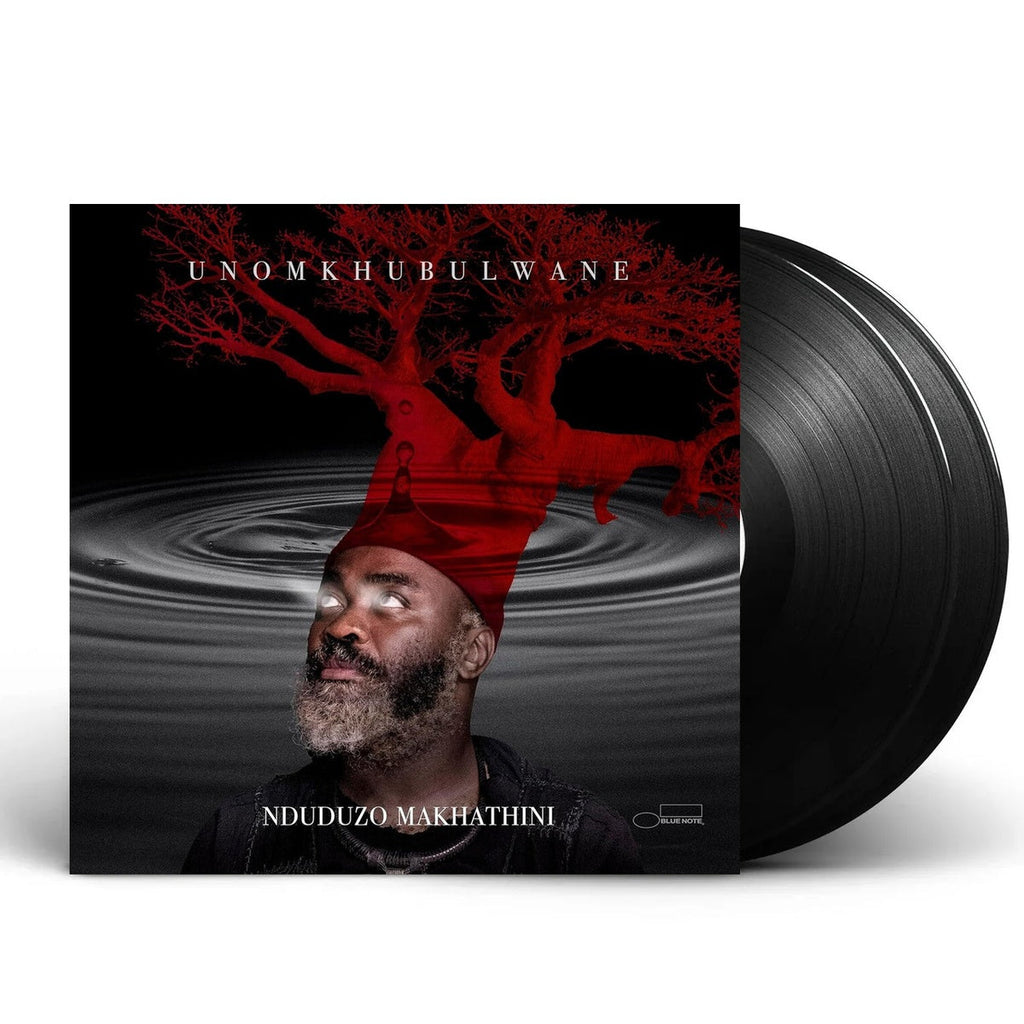 Nduduzo Makhathini – Unomkhubulwane (2-LP Vinyl) Vinyl Record