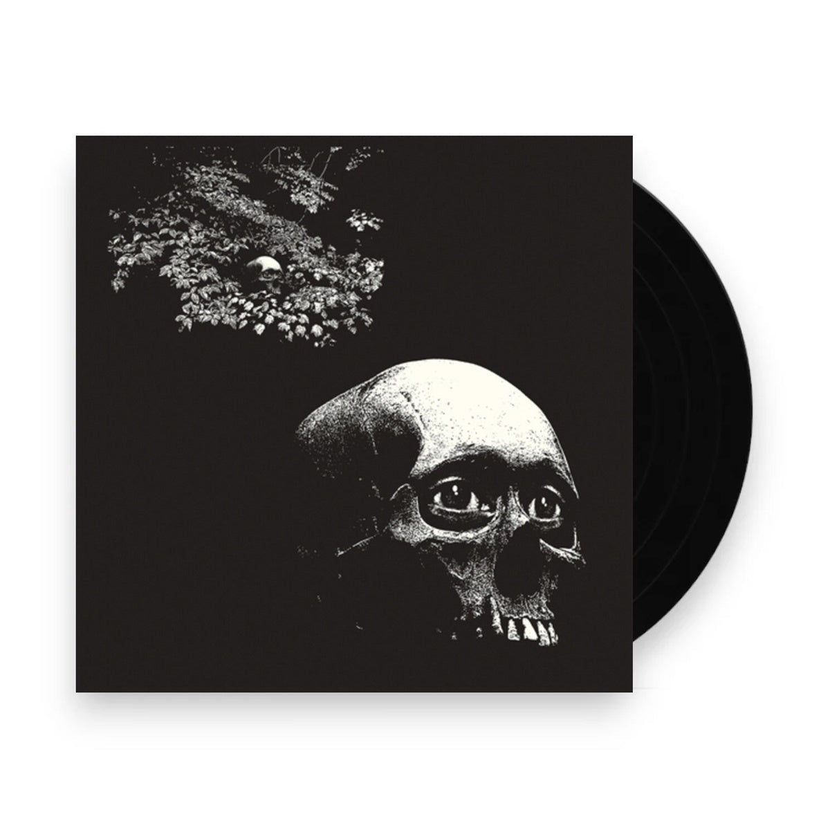 Osees – Foul Form (LP Vinyl) Vinyl Record