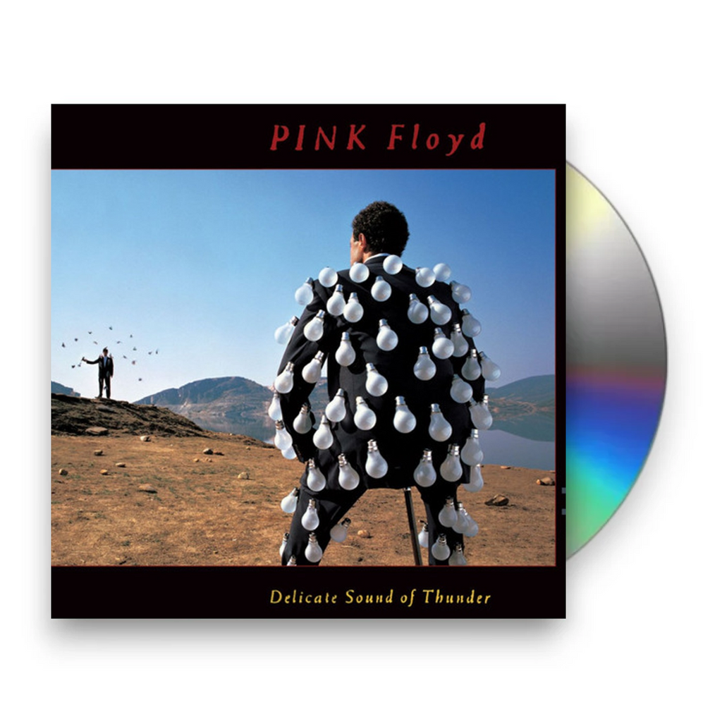 Pink Floyd – Delicate Sound Of Thunder (2-CD)