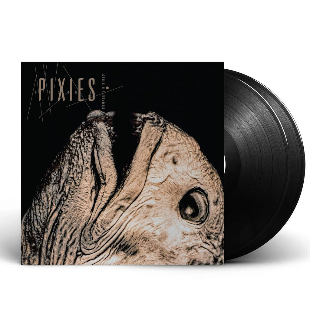 Pixies – Complete B Sides: 1988-97 (2-LP Vinyl) Vinyl Record
