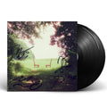 Ratboys – Singin' to an Empty Chair (2-LP Vinyl) Vinyl Record