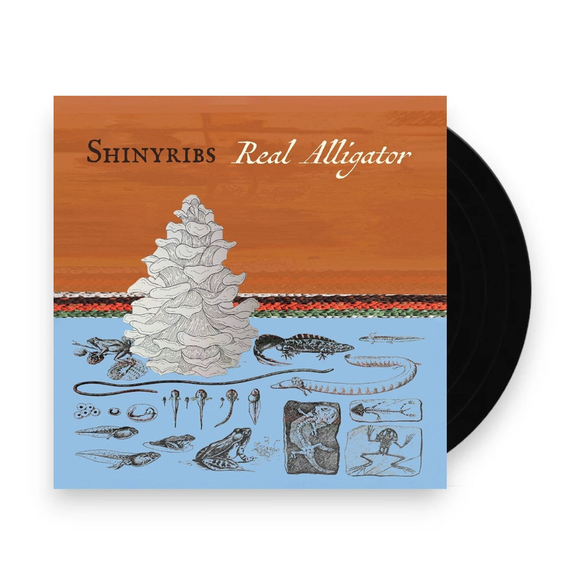 Shinyribs – Real Alligator (LP Vinyl) Vinyl Record