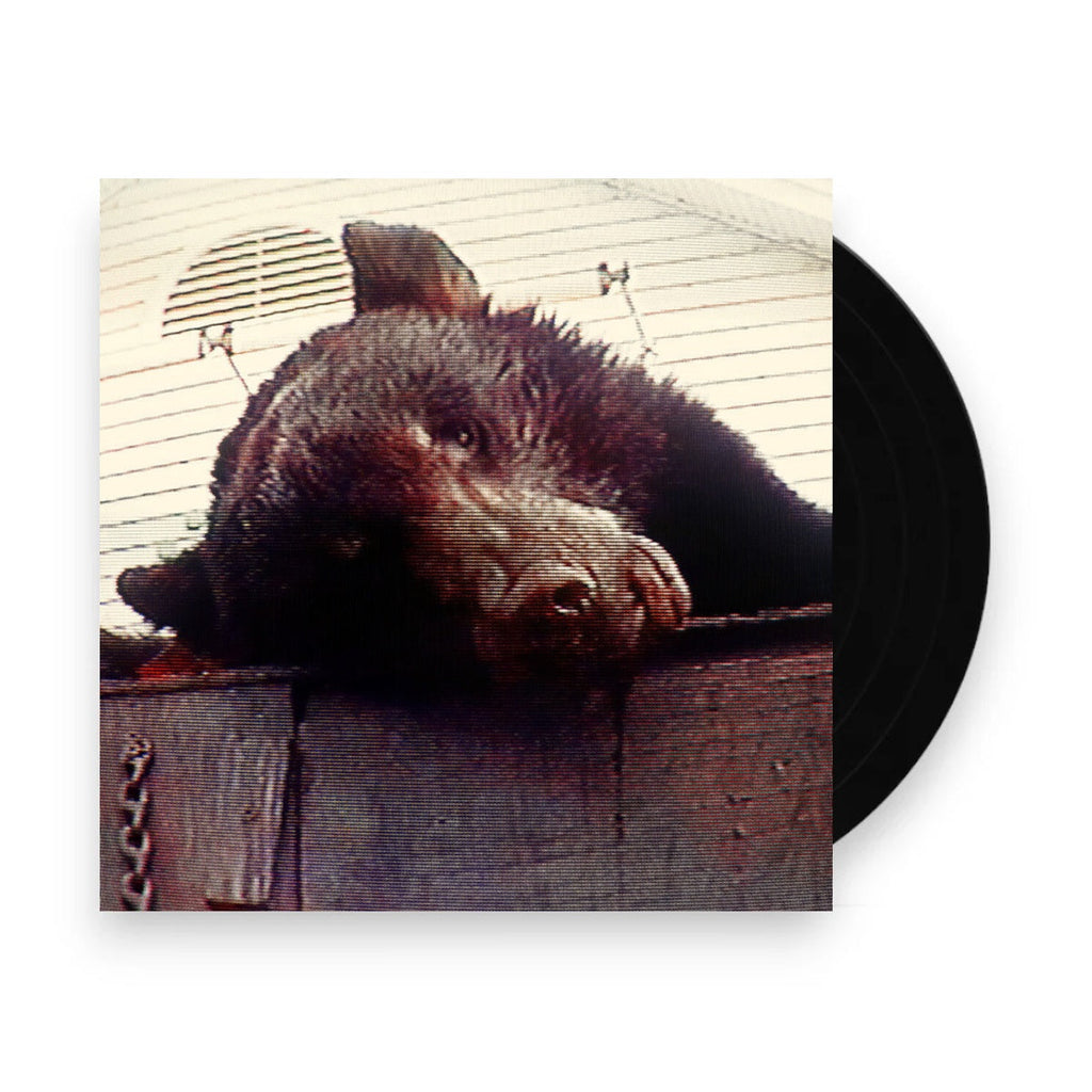 Truck Violence – Violence (LP Vinyl) Vinyl Record