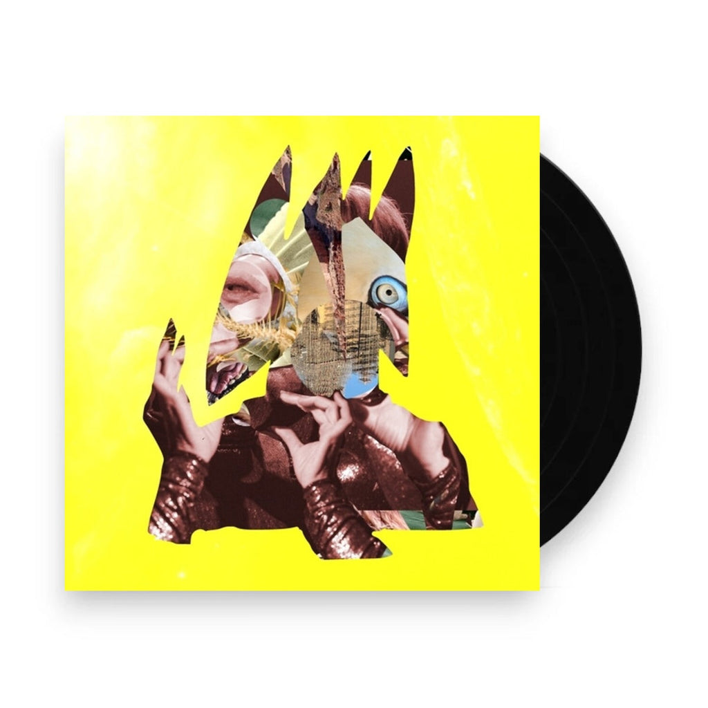 Ute Wassermann – chimeric (LP Vinyl) Vinyl Record