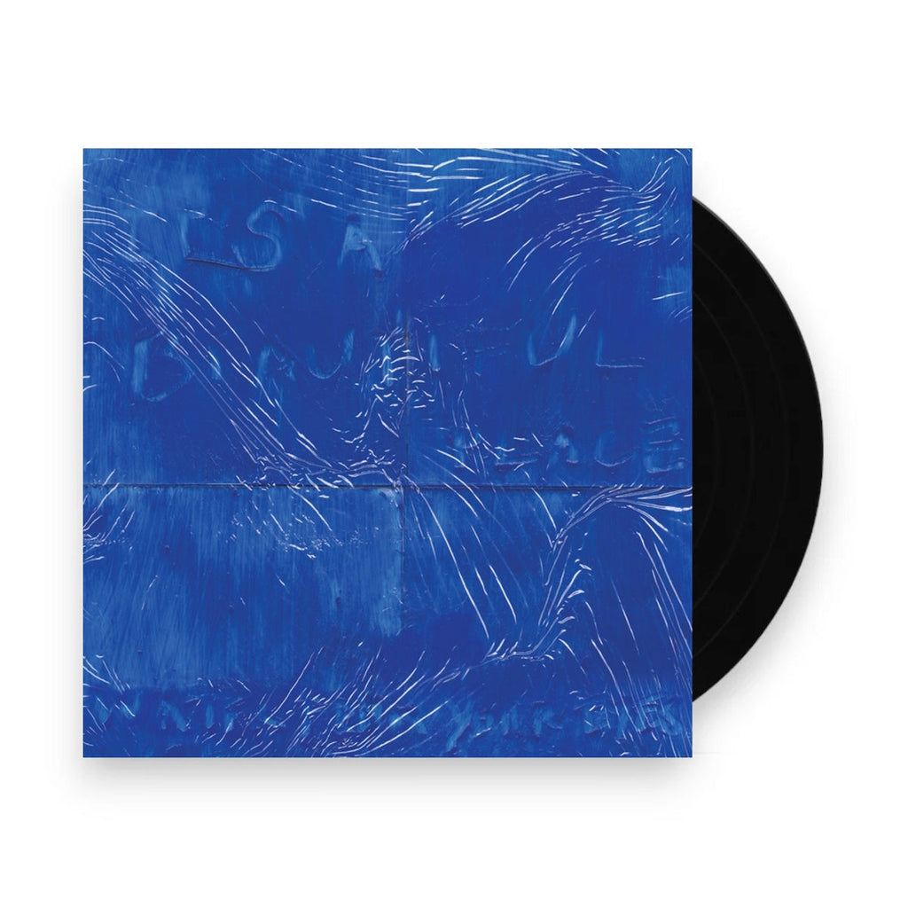 Water From Your Eyes – It's A Beautiful Place (LP Vinyl) Vinyl Record