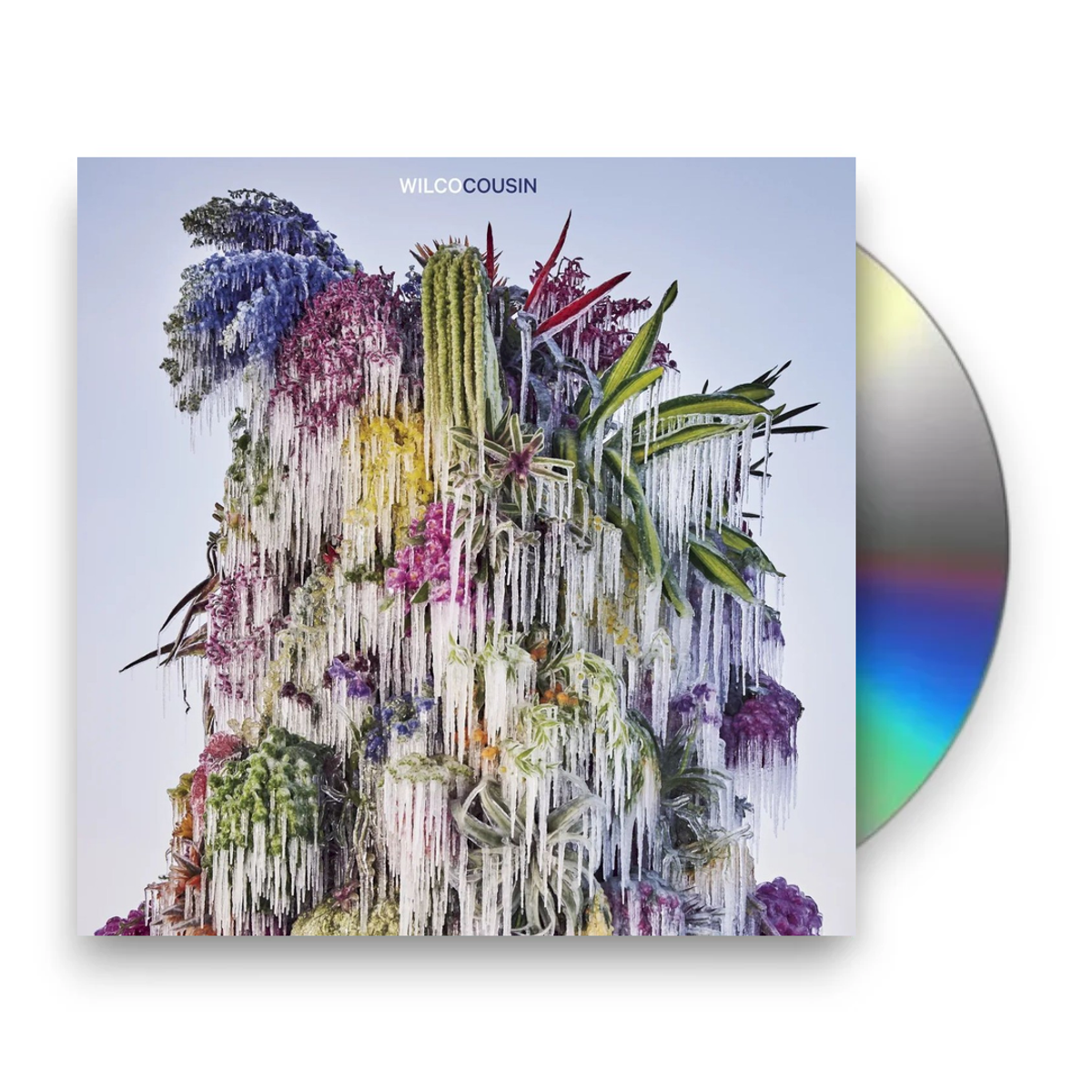 Wilco – Cousin Music CD
