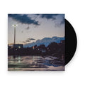 Wild Pink – Still Coming Down (LP Vinyl) Vinyl Record