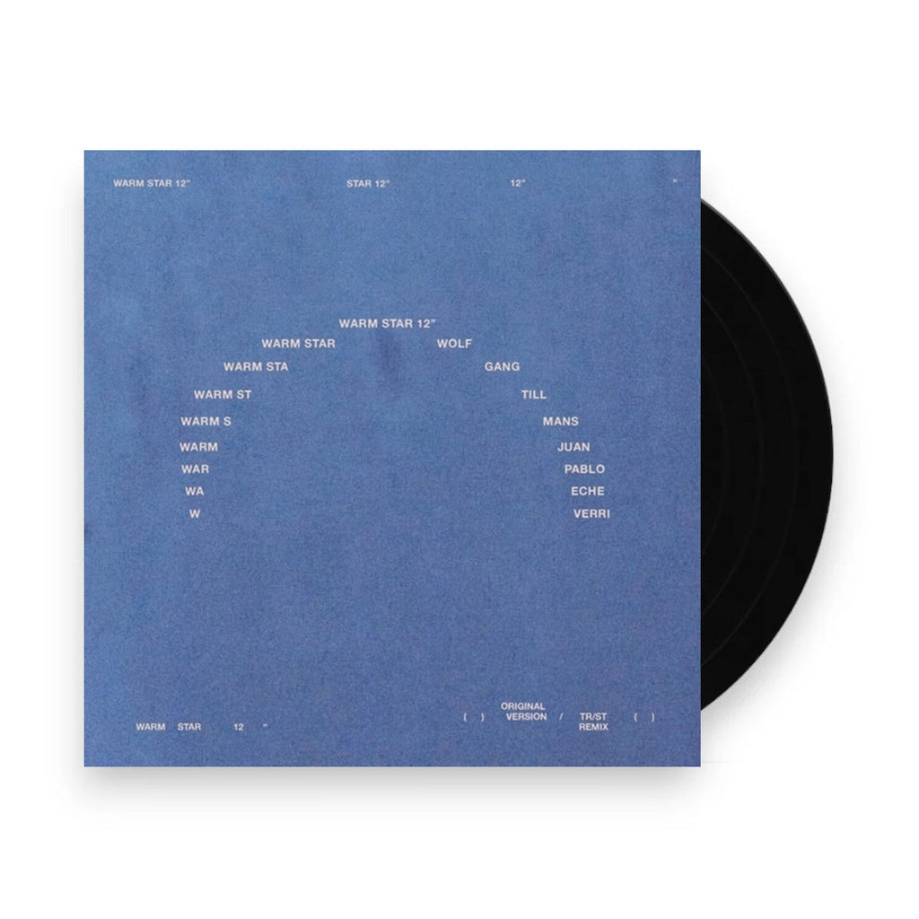 Wolfgang Tillmans – Warm Star (LP Vinyl) Vinyl Record