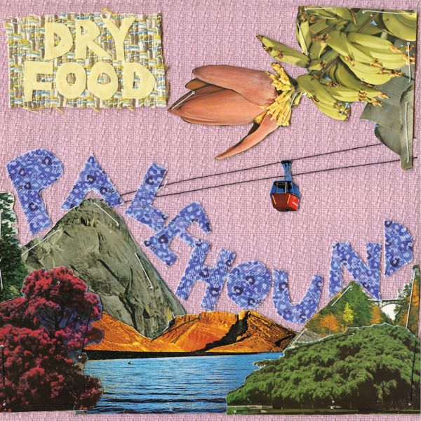 Palehound - Dry Food Vinyl Record