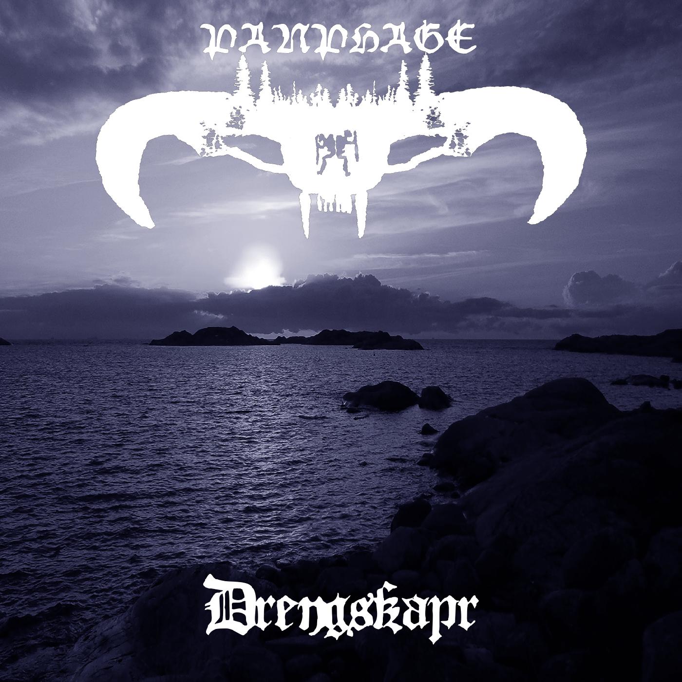 Drengskapr Music CD