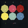 Astromalist Vinyl Record