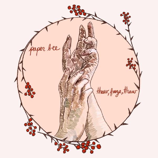 Paper Bee - Thaw, Freeze, Thaw Music Cassette Tape