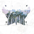 Banco Vinyl Record