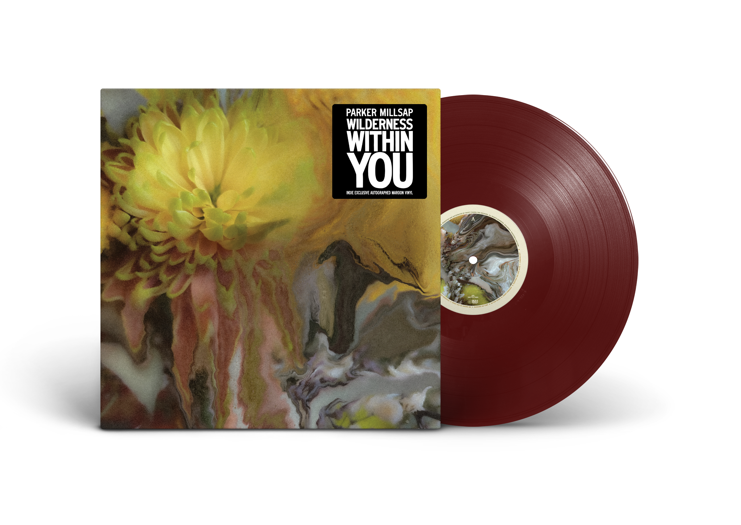 Wilderness Within You (Indie Exclusive) Vinyl Record