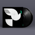 Spirit Fall Vinyl Record