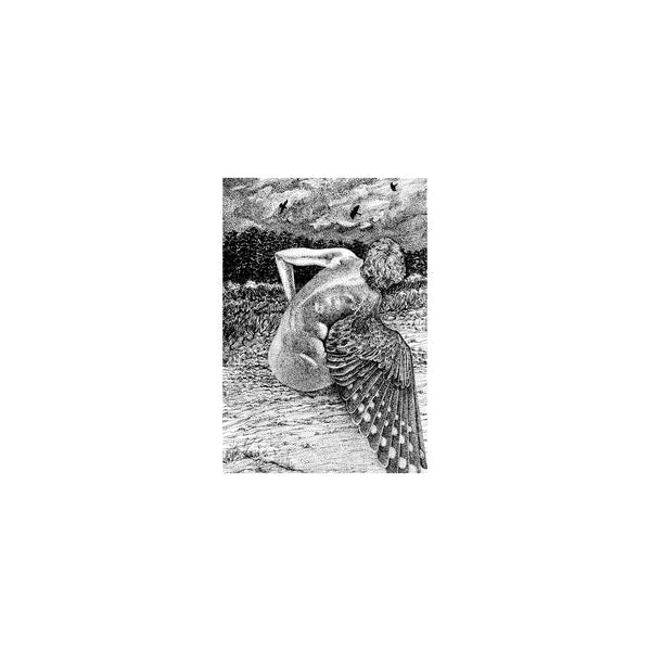 Patrick Lysaght - For The Birds [LP] Vinyl Record