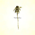 Wooden Arms Music CD