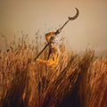 Crying The Neck [180G Harvest Ochre/Umber Soil 2 Lp] Vinyl Record