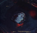 Disquiet Music CD