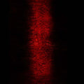 Rites Music CD