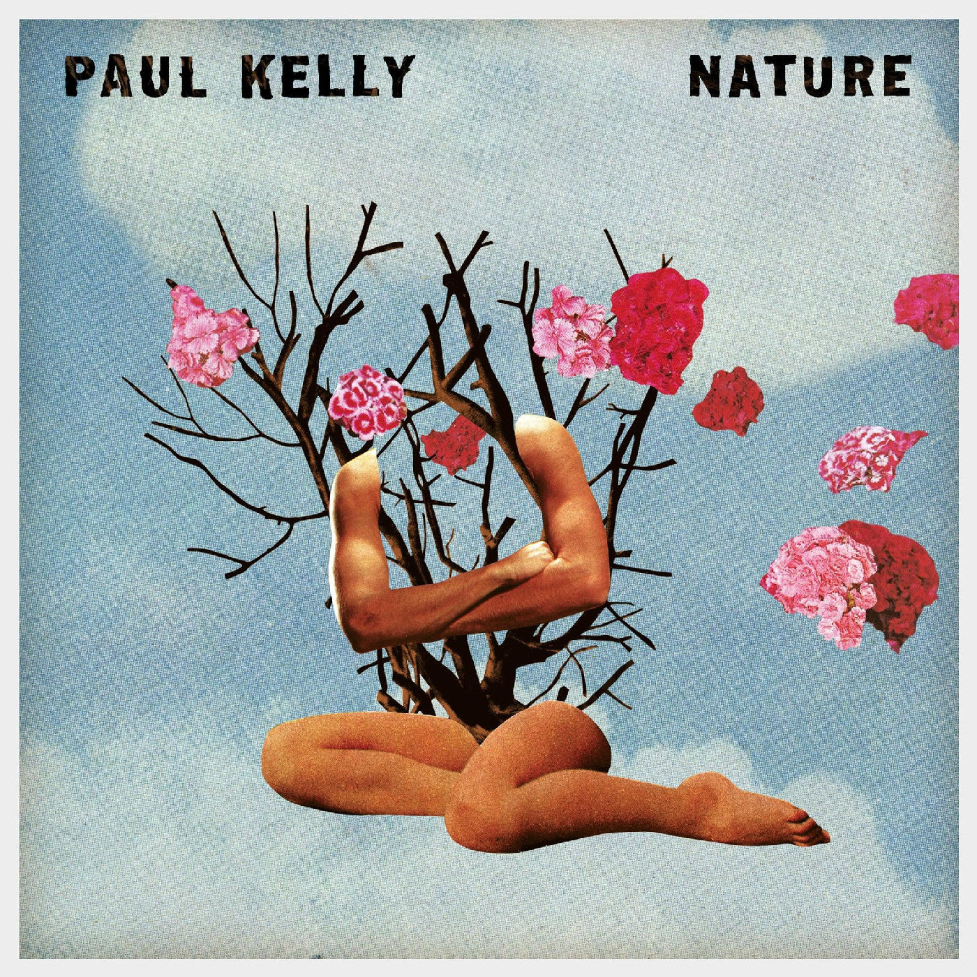 Nature Music CD